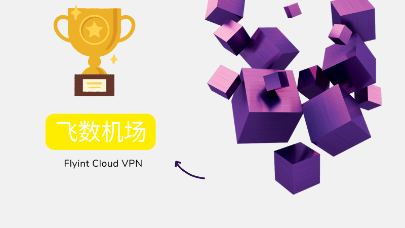 飞数机场 Flyint VPN