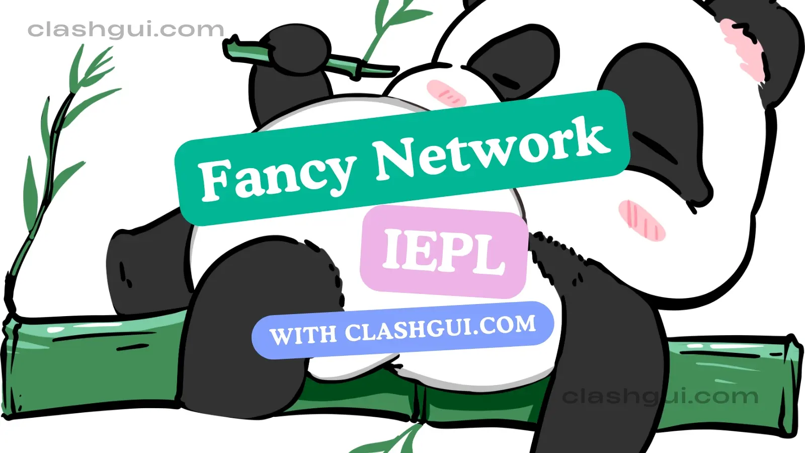 Fancy Network 机场官网